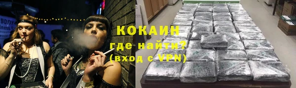 прущие грибы Магадан