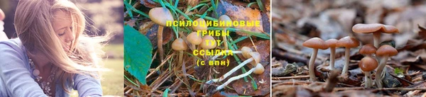 МДМА Майский