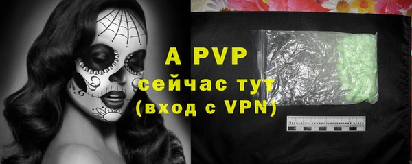 прущие грибы Магадан