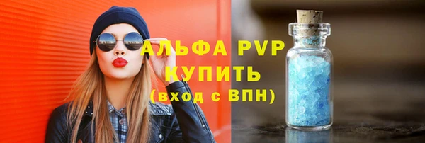 прущие грибы Магадан
