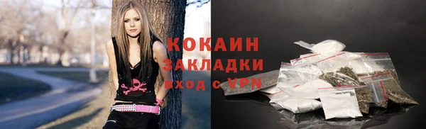 прущие грибы Магадан