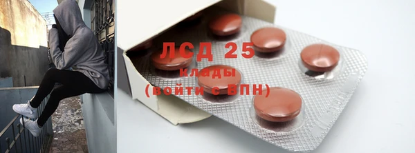 прущие грибы Магадан