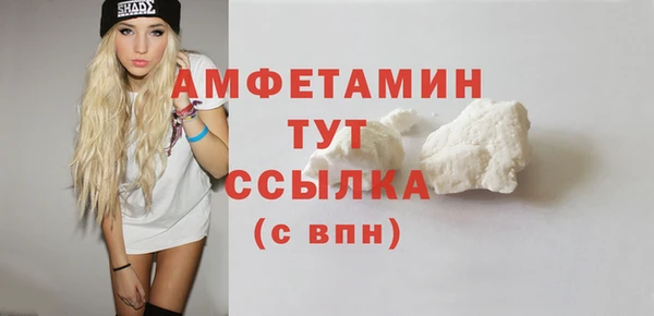 прущие грибы Магадан
