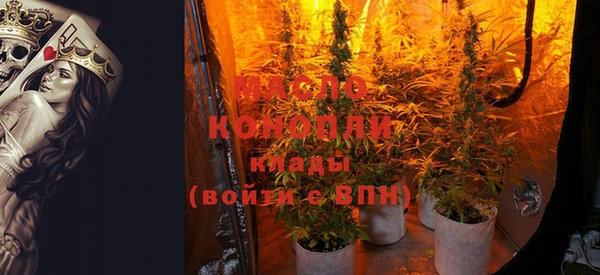 прущие грибы Магадан