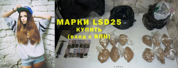 прущие грибы Магадан
