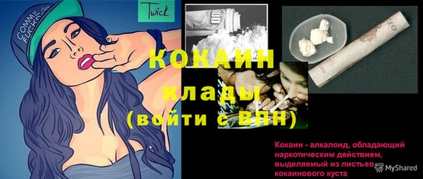 прущие грибы Магадан